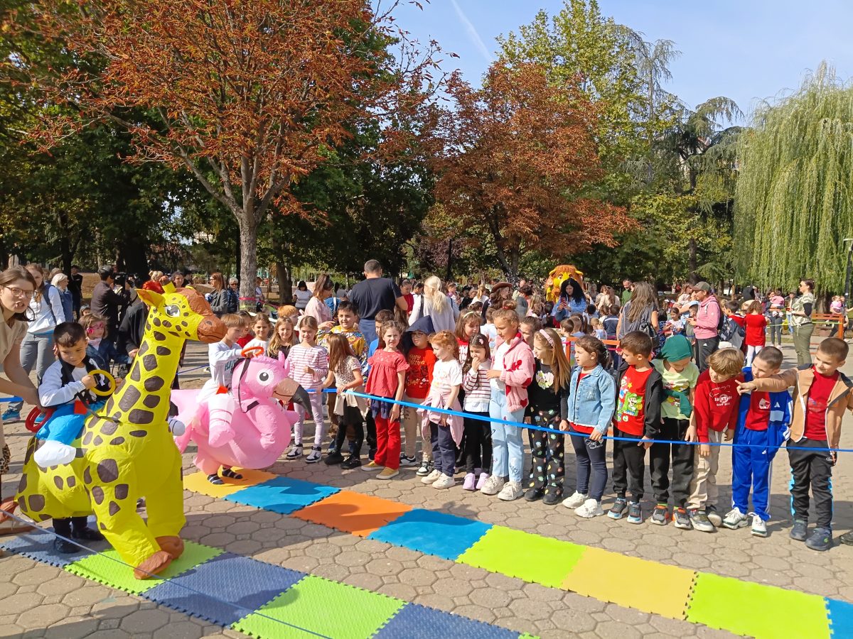 Галерија вести 9